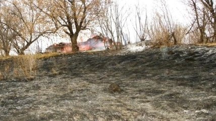 17 хозяйственных сооружений сгорело на Черниговщине