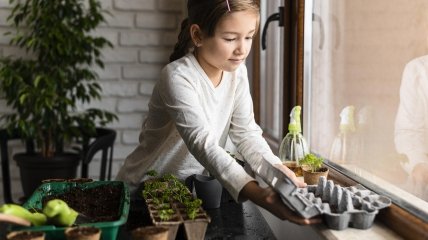 Свежая зелень в доме радует глаз и полезна