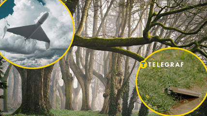 Ліс, "Шахед", міна