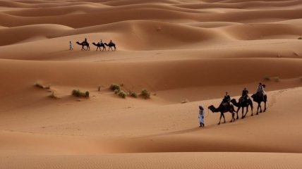 Раскрыта тайна пустыни Сахары