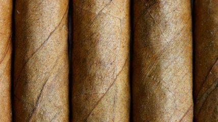 6-метровую сигару купили во Флориде за рекордную цену