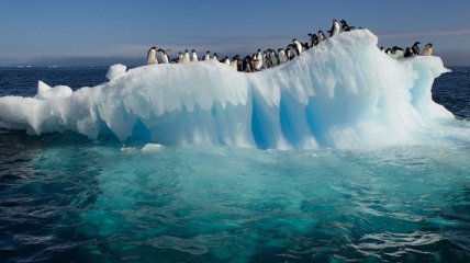 Антарктида начала ускоренно таять