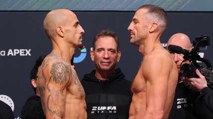 Гвоздик — Калайджич