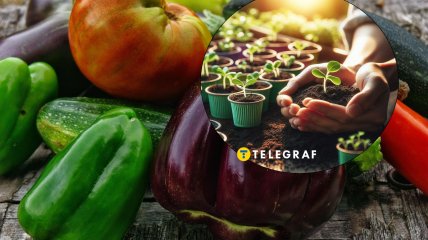 Календарь посадки овощей в Украине