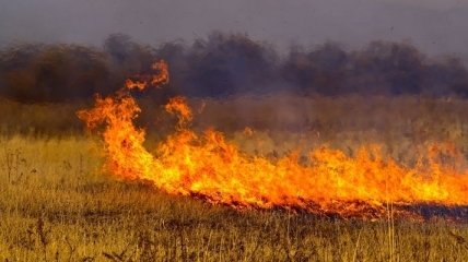 Чрезвычайная пожарная опасность объявлена на Закарпатье