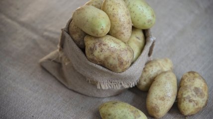 Картошка зеленеет по одной простой причине