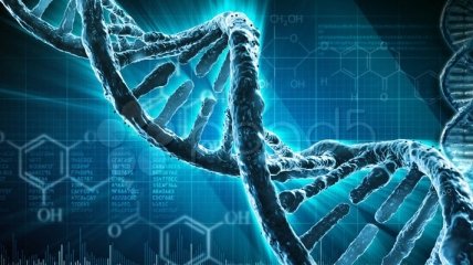 Ученые определили ряд генов, необходимых для регенерации (Видео) 