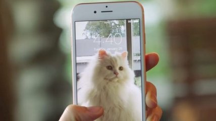 Apple рассказала о живых фото и 3D Touch в новой рекламе iPhone 6s