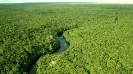 Ученые: древняя Амазония имела многомиллионное население