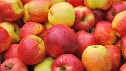 Медики назвали еще одно полезное свойство яблок