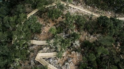 Уникальные деревянные тропы в Португалии для настоящих экстремалов (Фото) 