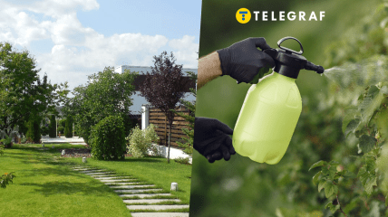 Вже час займатись присадибною ділянкою