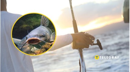 Мужчина рыбачил всю ночь