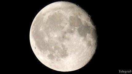 Компания SpaceX определила туриста, который полетит к Луне