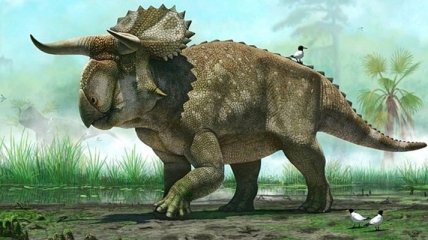 Обнаружили новый вид рогатого динозавра 