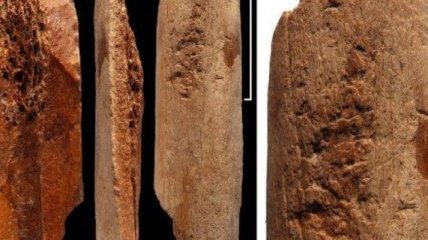 Археологи нашли самые старые в Китае костяные орудия