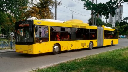 Бесплатный проезд в общественном транспорте
