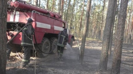 На Житомирщине продолжается тушение пожаров: в ГСЧС дали отчет о ситуации