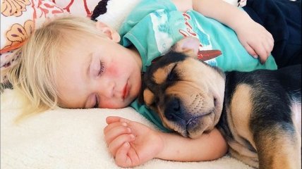 Самый позитивный Instagram: трогательная дружба малыша и щенка (Фото)