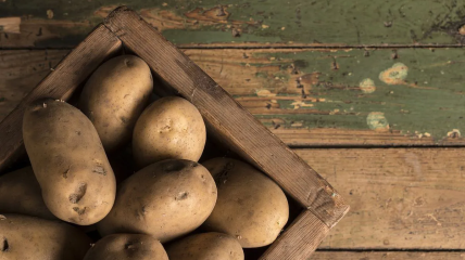 Поради щодо зберігання картоплі в будинку без льоху