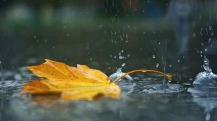 Прогноз погоды на 28 сентября: похолодает и пройдут дожди 