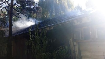 В Черкассах возник пожар в зоопарке, где находились птицы и обезьяны