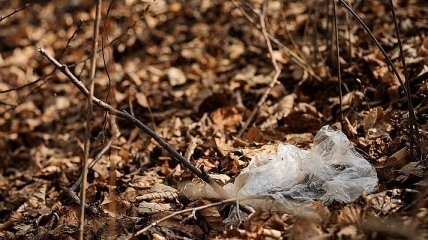 Мінекології займається розробкою закону про заборону пластикових пакетів