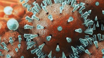 В мире активно лечат коронавирус