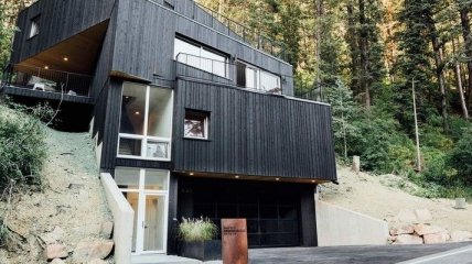 Дом в лесу: двухэтажное строение от американского архитектора (Фото)