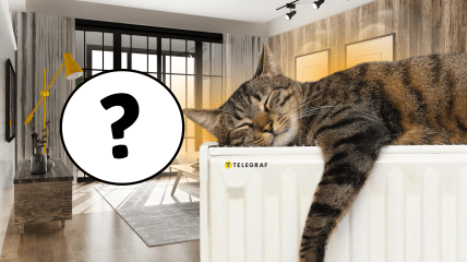 Как согреть квартиру без отопления