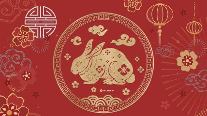 Гороскоп на 2024 год для Кролика откроет новые вершины