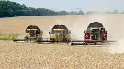 Гройсман: Аграрии формируют 12% ВВП Украины