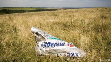 В "ДНР" обещают передать Нидерландам найденные останки с рейса MH17