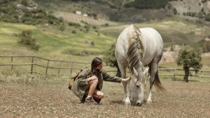 Какой сегодня праздник - День святого Ерма
