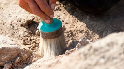В Китае обнаружены костяные орудия возрастом 115 тыс. лет