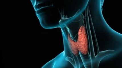 Как сохранить здоровье щитовидной железы в период самоизоляции