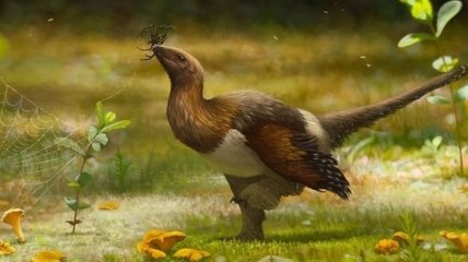 Открыт новый вид неизвестных ранее динозавров