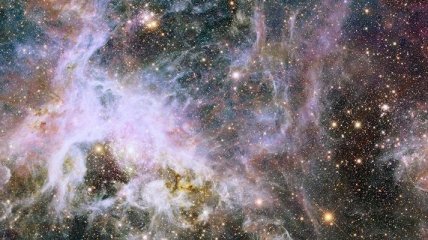 "Хаббл" сделал снимок "звездной колыбели" в туманности Тарантул (Фото)