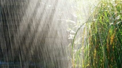 Спеку змінюватимуть грозові дощі та шквали вітру: прогноз погоди на 11 серпня