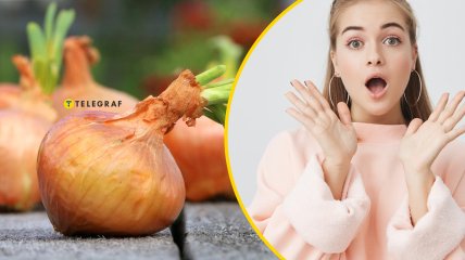 Что категорически нельзя делать с луком