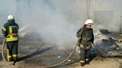 Крупный пожар в Киевской области локализован