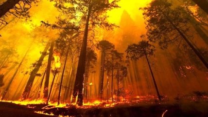 Массовые лесные пожары отсрочили конец последнего ледникового периода