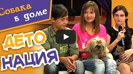 Собака в доме и ребенок: как помочь им подружиться (видео)