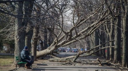 Из-за сильного ветра сотни населенных пунктов остались без света 