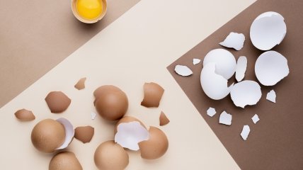Переработка дня: 20 способов использования яичной скорлупы - Recycle