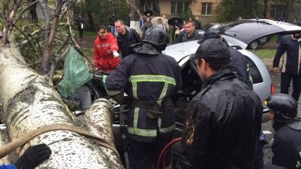 Из-за непогоды в Одессе на авто упало дерево, водитель погиб