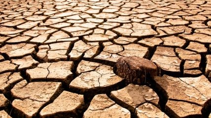 Всемирная засуха уничтожит человечество