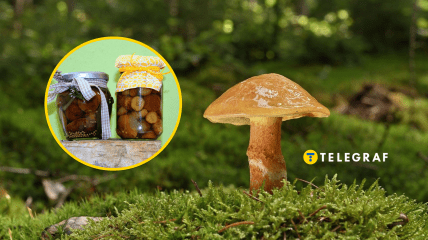 Як правильно закрити гриби на зиму