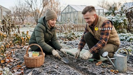 Даже после первых заморозков на огороде можно что-то посадить