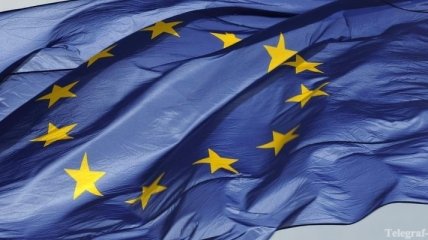 ЕС предоставил Украине более €1 млн для борьбы с бешенством